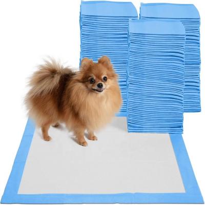 pee pads for dogs